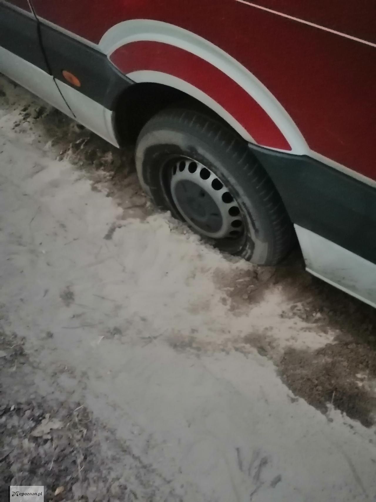fot. Czytelniczka