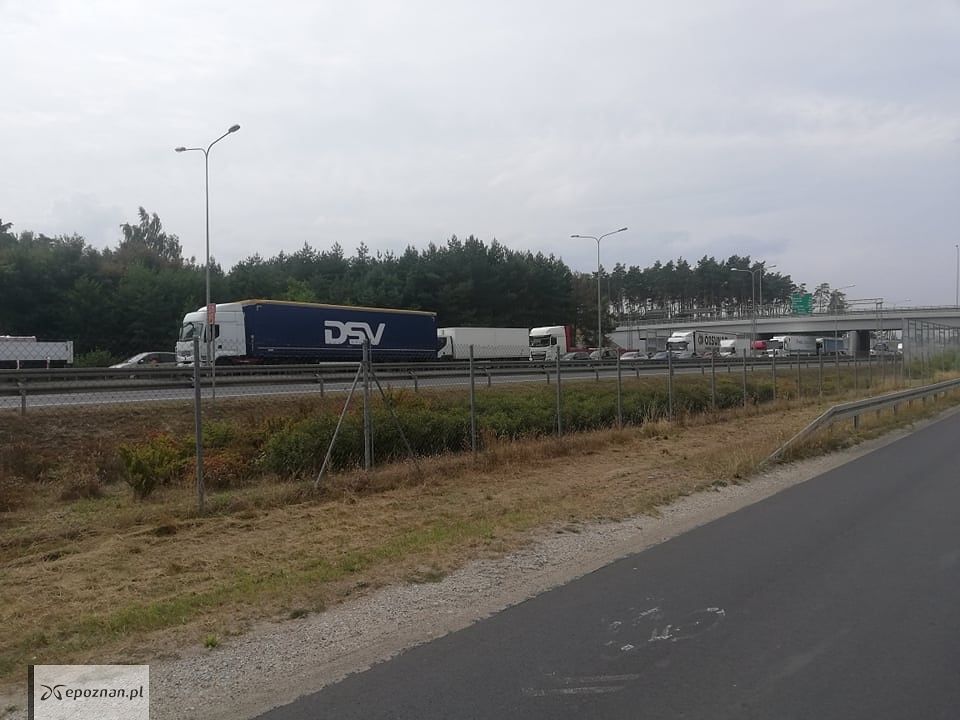 fot. Paweł