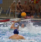 DSW Waterpolo Poznań - WTS Bytom 17:6 | fot. Elżbieta Skowron