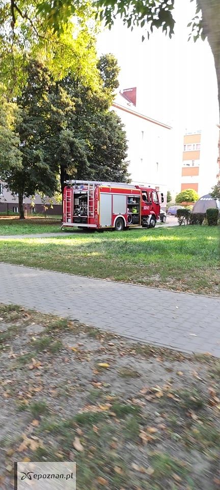 fot. Czytelnik