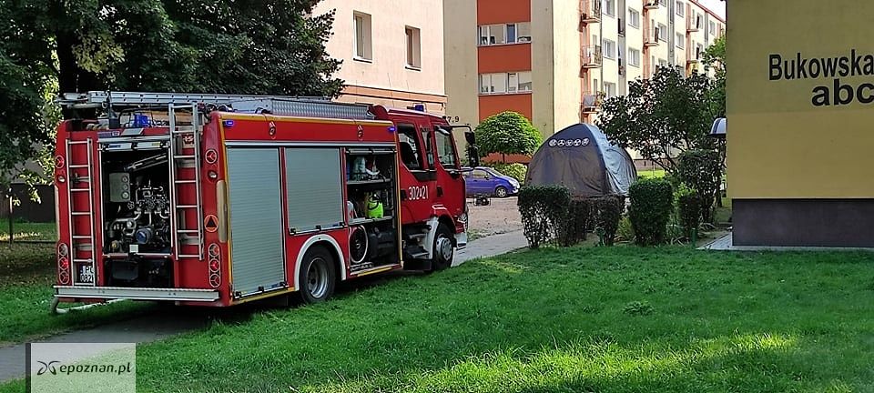 fot. Czytelnik