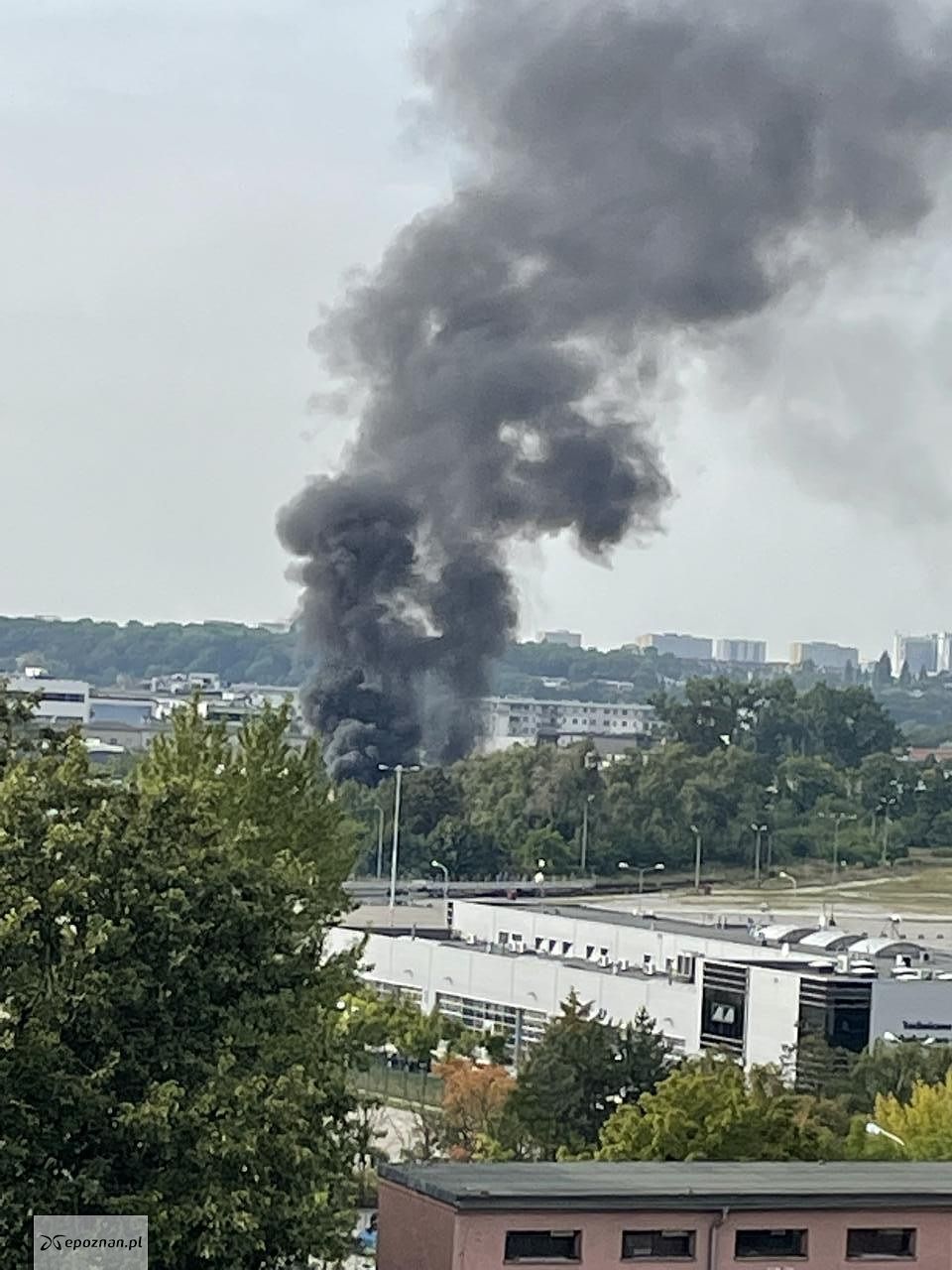 fot. Łukasz