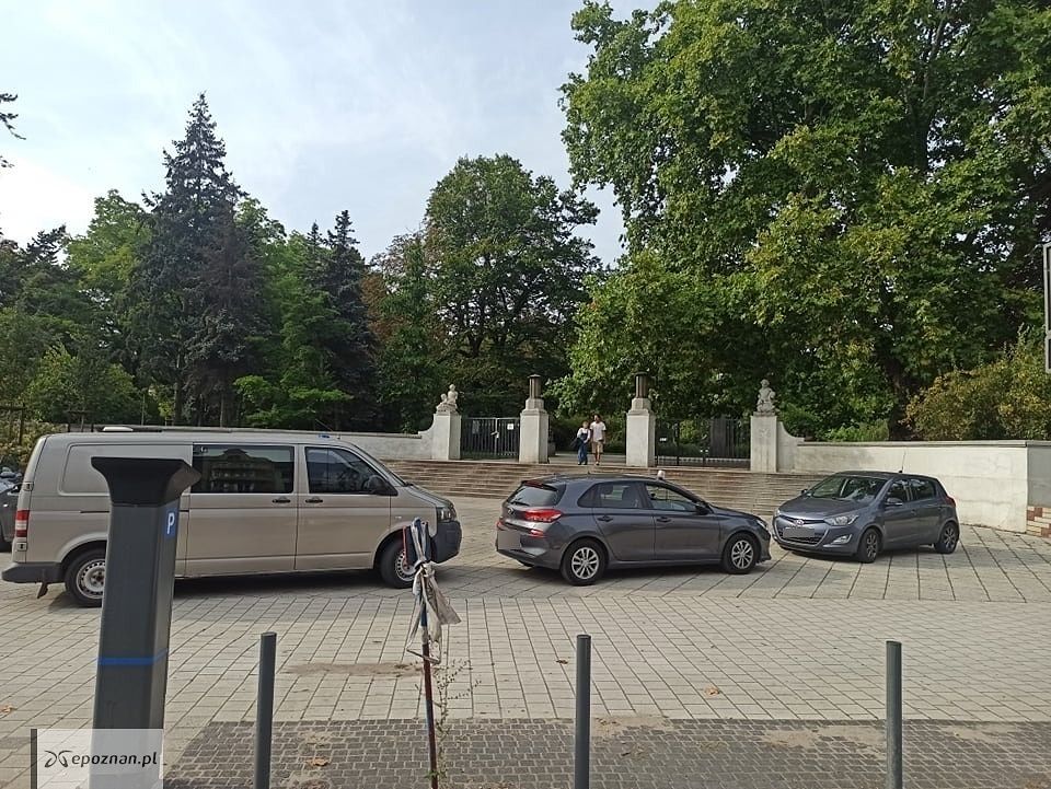 fot. Andrzej