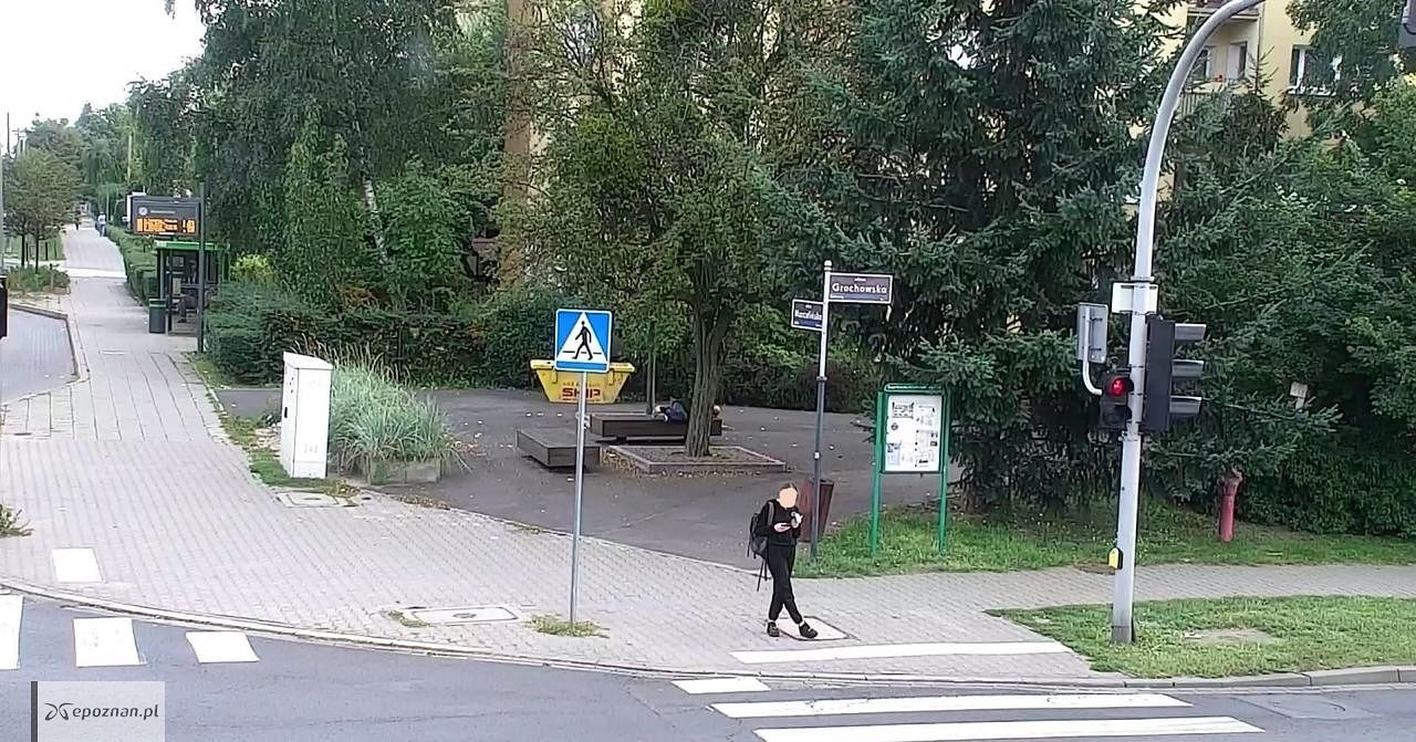 fot. Straż miejska