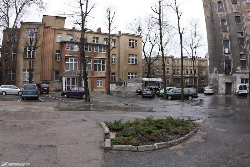 fot. Łukasz Ogrodowczyk - archiwum