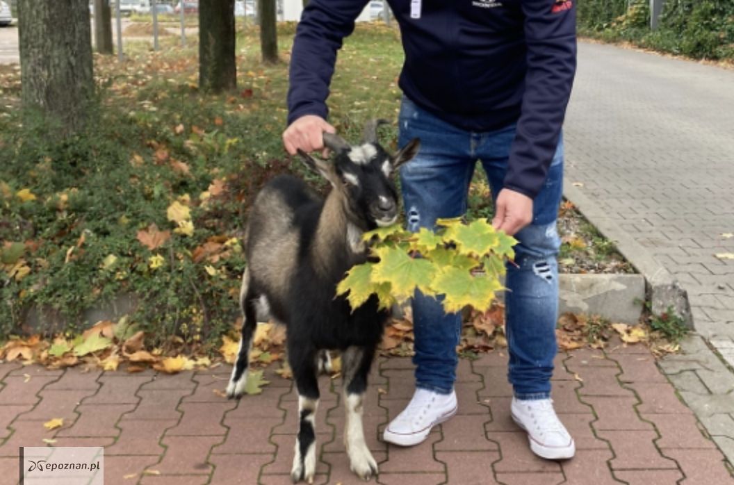 fot. Czytelnik