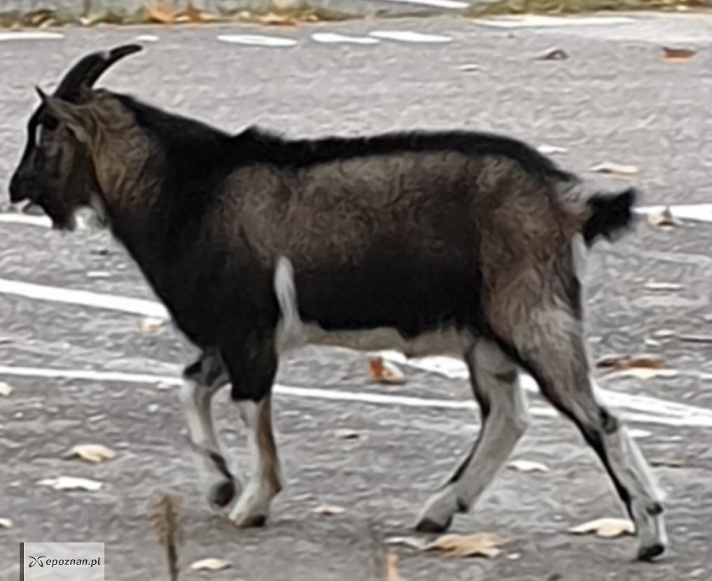 fot. Czytelnik