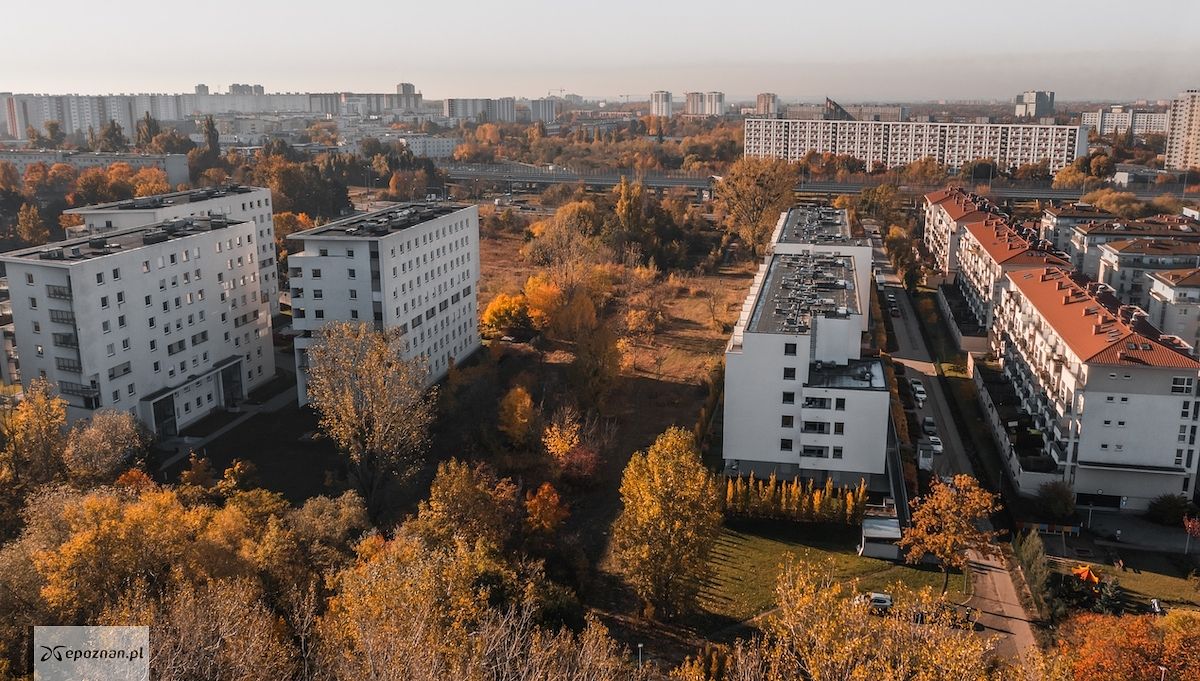 fot. materiały prasowe