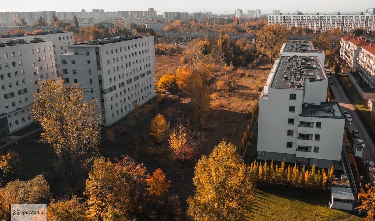fot. materiały prasowe