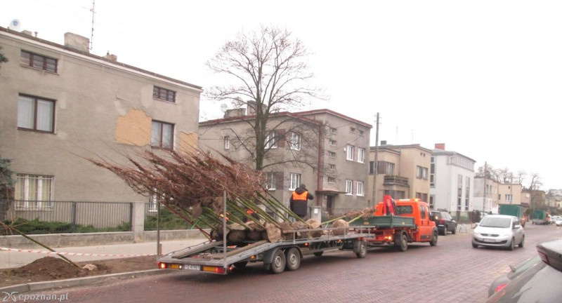 fot. czytelnik
