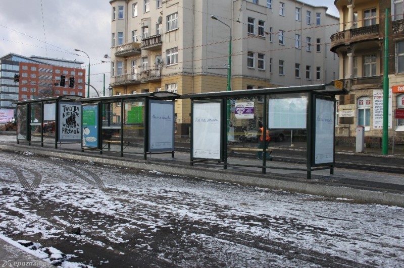 fot. Elżbieta Skowron