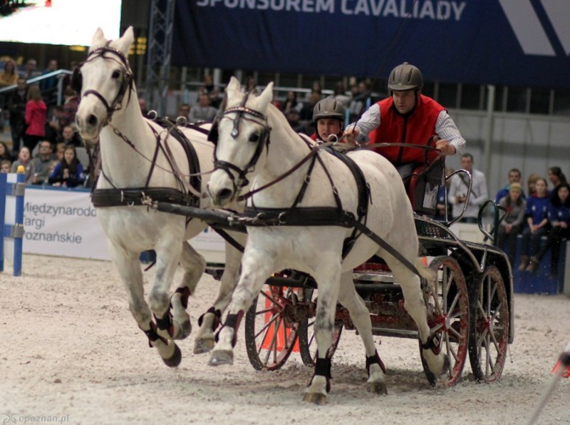 fot. Elżbieta Skowron