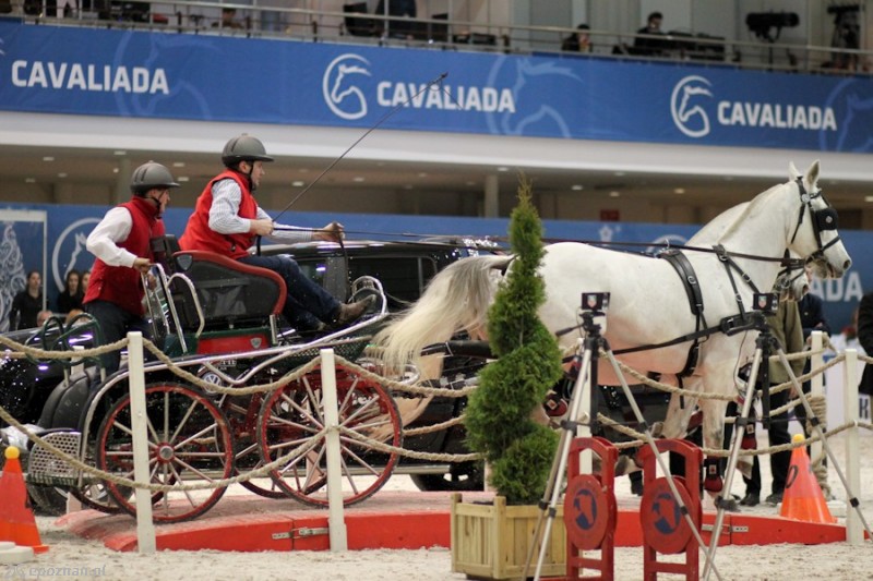 fot. Elżbieta Skowron