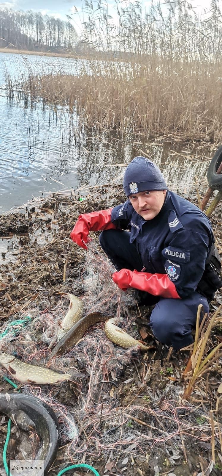 fot. Wielkopolska Policja / FB