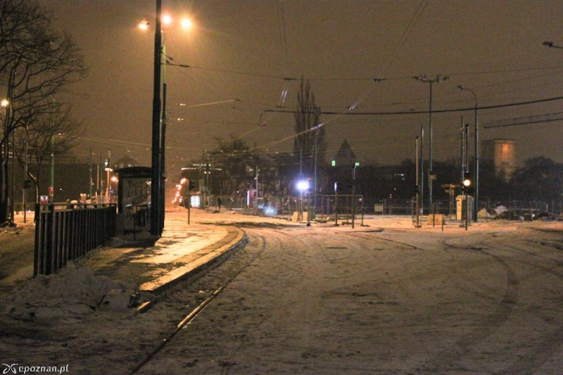 fot. Elżbieta Skowron