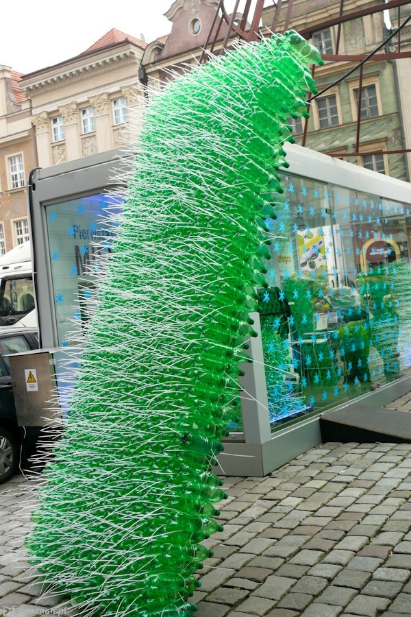 fot. Elżbieta Skowron