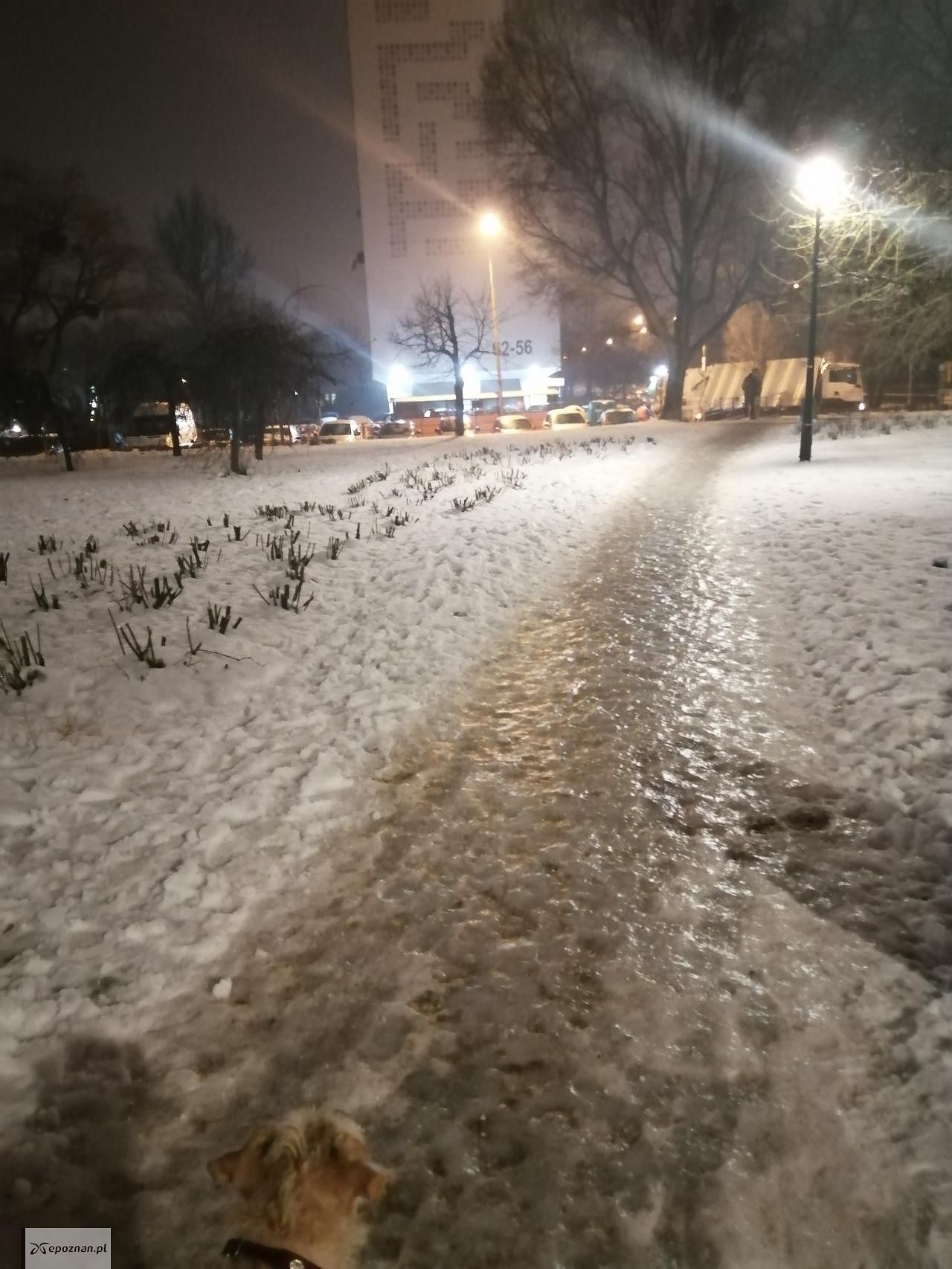 osiedle Piastowskie | fot. Czytelnik