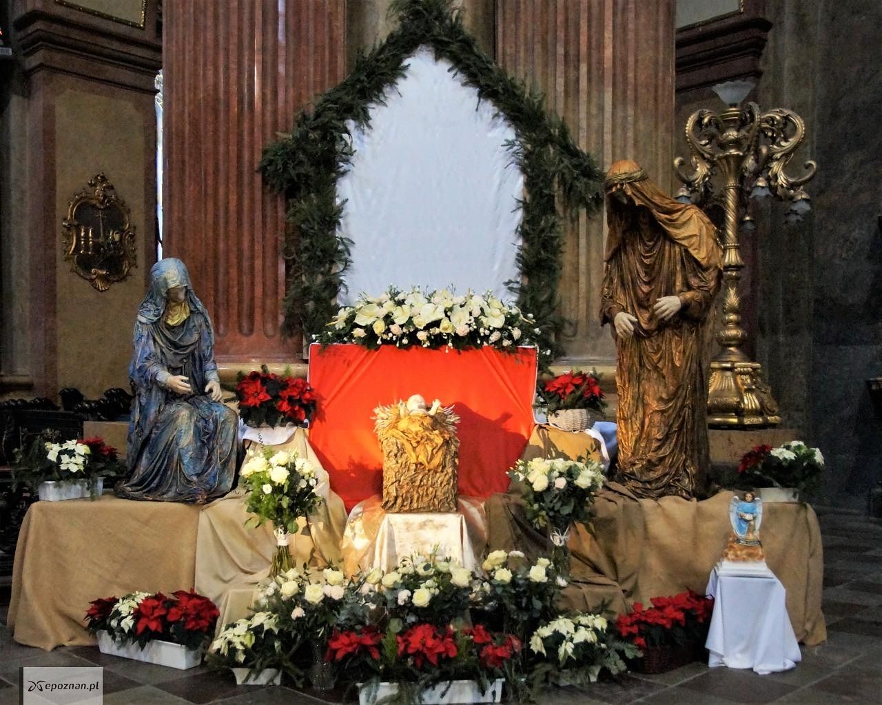 fot. Włodzimierz Hoppel