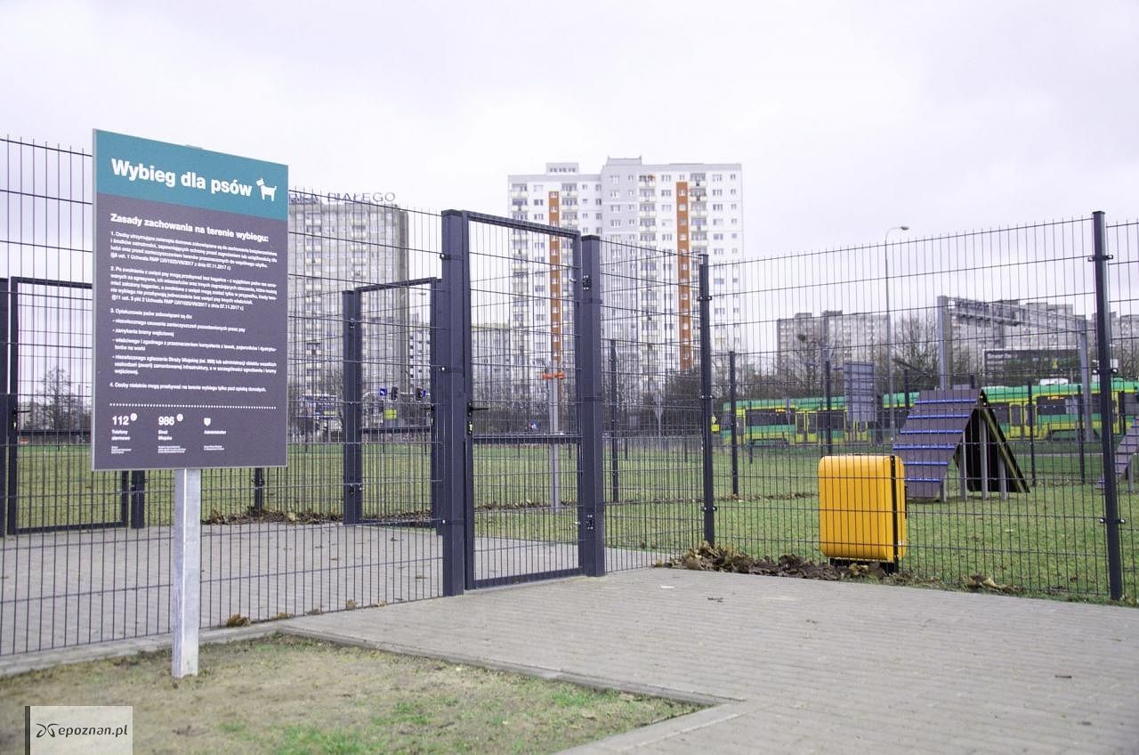 fot. ZZM Poznań