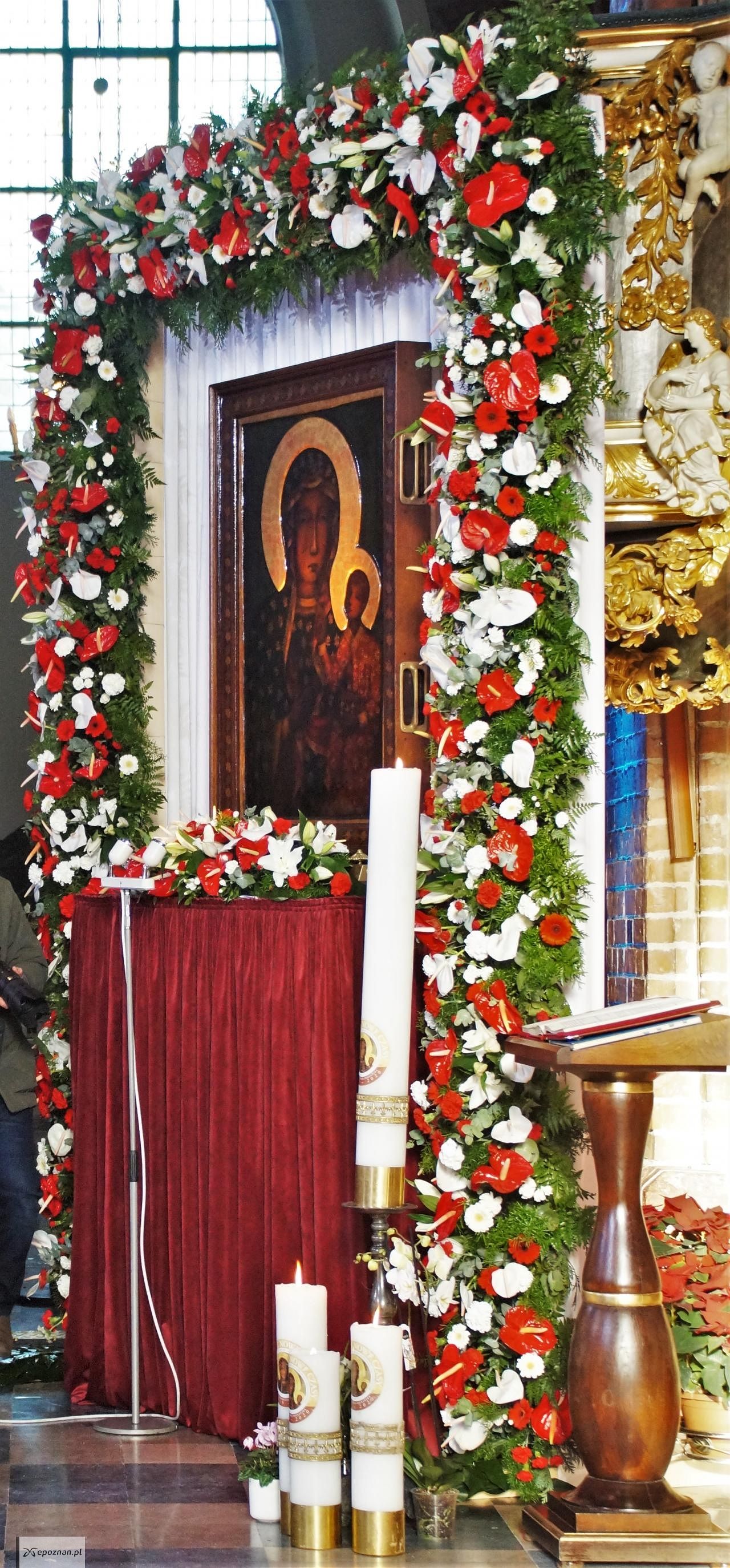 fot. Włodzimierz Hoppel
