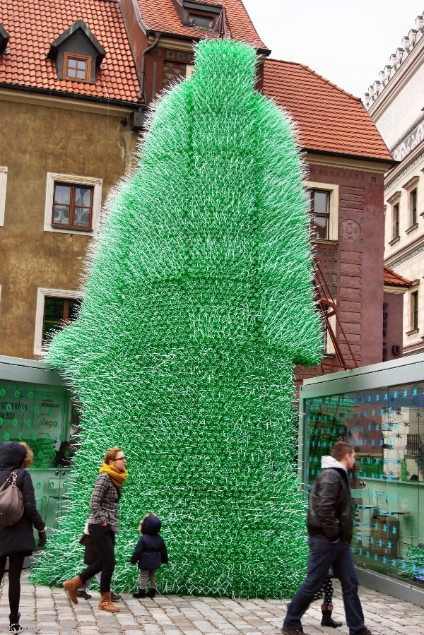 fot. Elżbieta Skowron