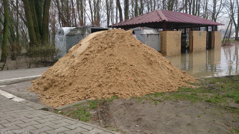 fot. Borysu