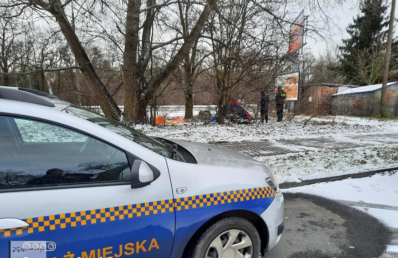 fot. Straż Miejska
