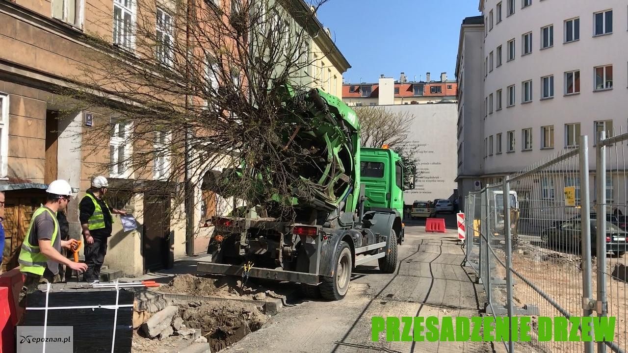 fot. UM Poznań