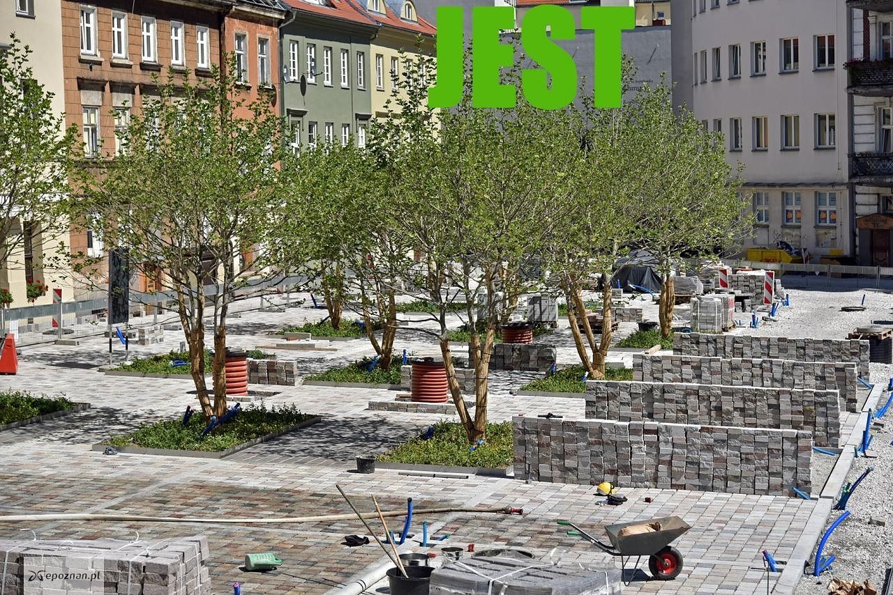 fot. UM Poznań