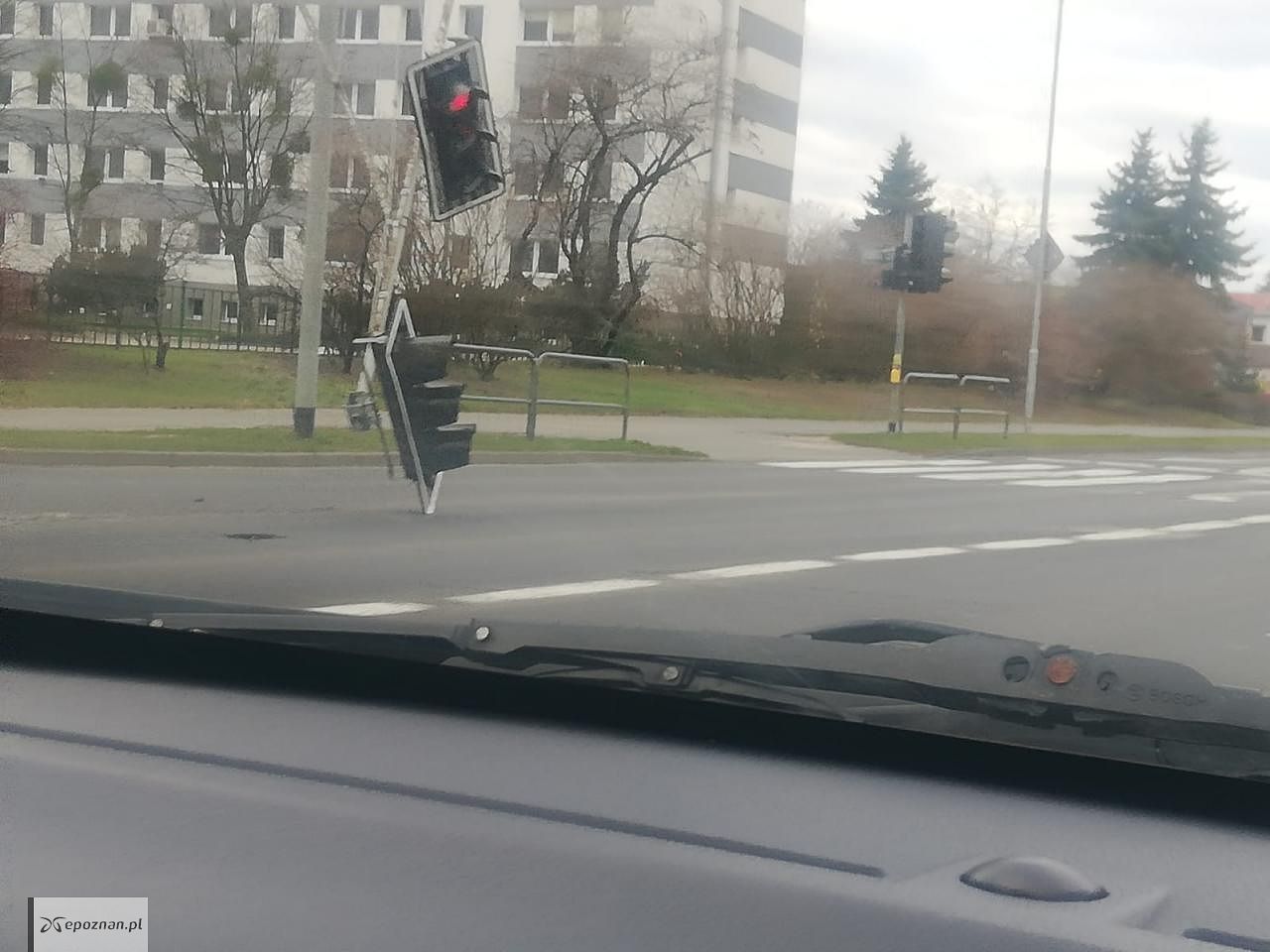 fot. Maestro