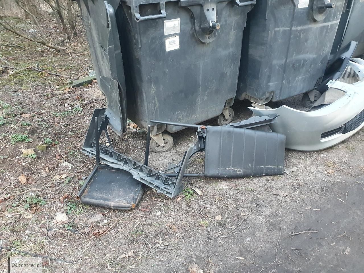 fot. straż miejska