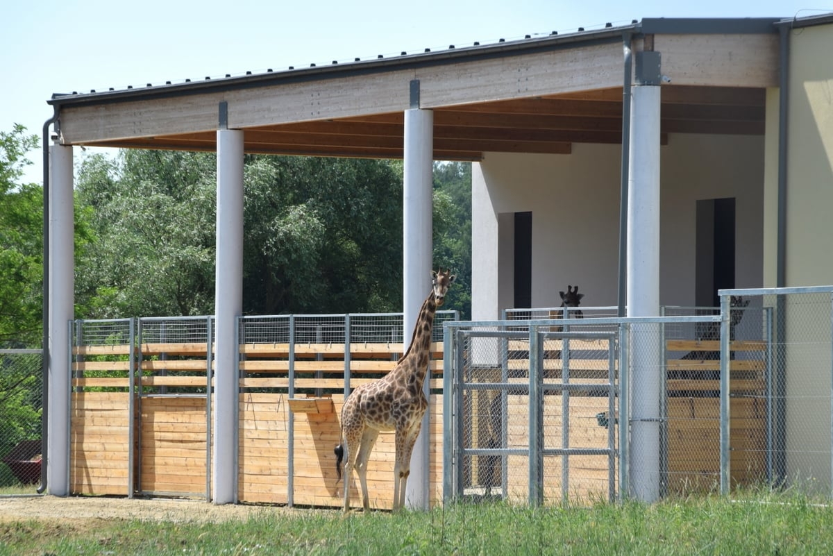 fot. ZOO Poznań Official / Facebook