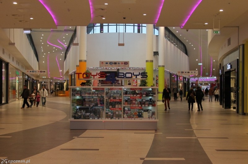 fot. Elżbieta Skowron