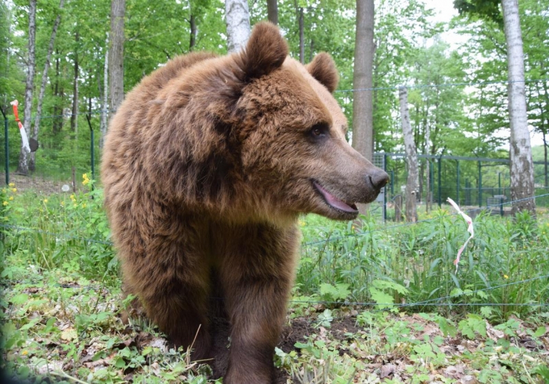fot. ZOO Poznań Official / Facebook