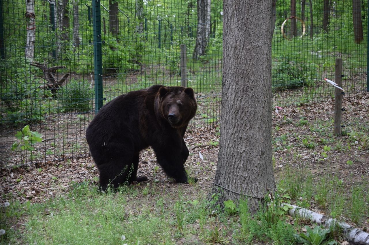 fot. ZOO Poznań Official / Facebook