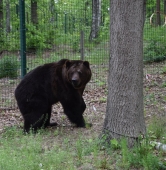 fot. ZOO Poznań Official / Facebook