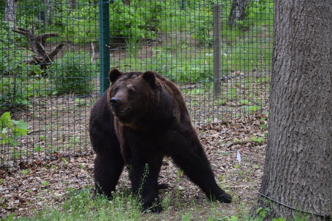 fot. ZOO Poznań Official / Facebook