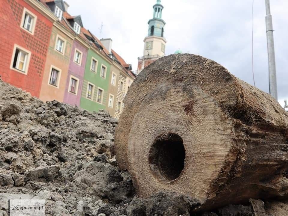 fot. Poznańskie Inwestycje Miejskie.