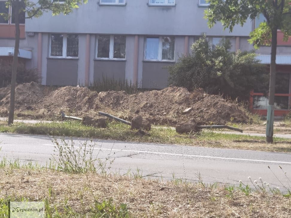 fot. Czytelnik