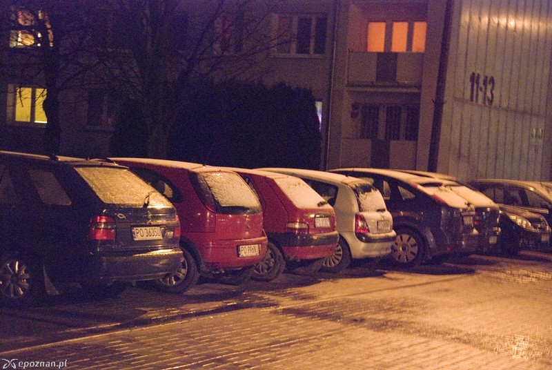 fot. Piotr Knach