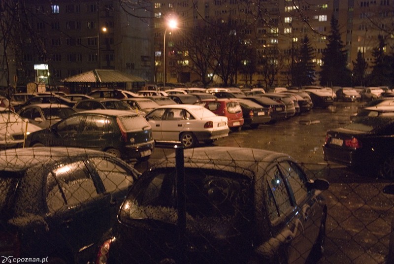 fot. Piotr Knach