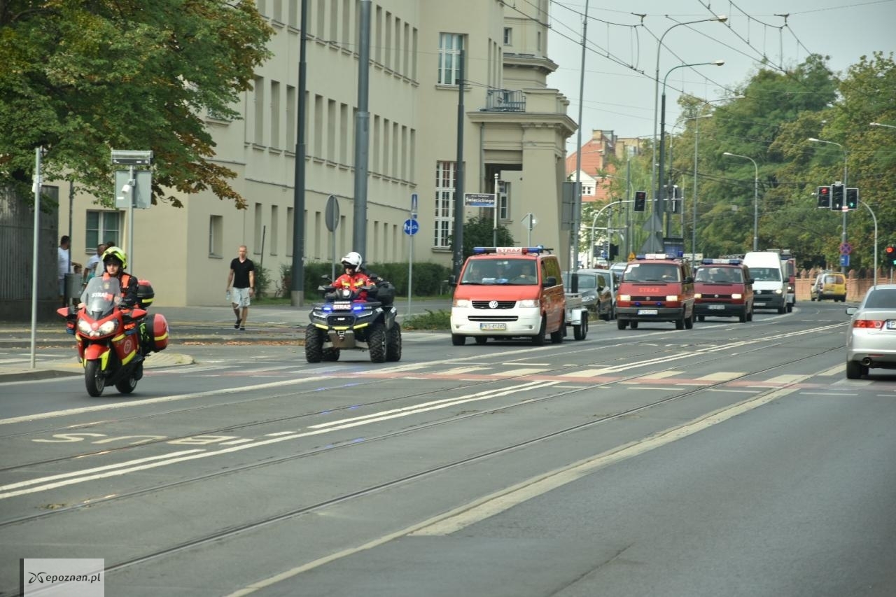 fot. Przemysław Łukaszyk