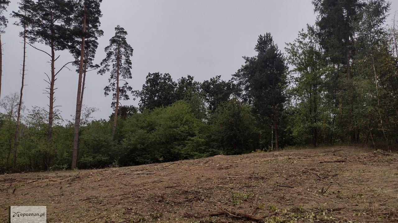 fot. Czytelniczka