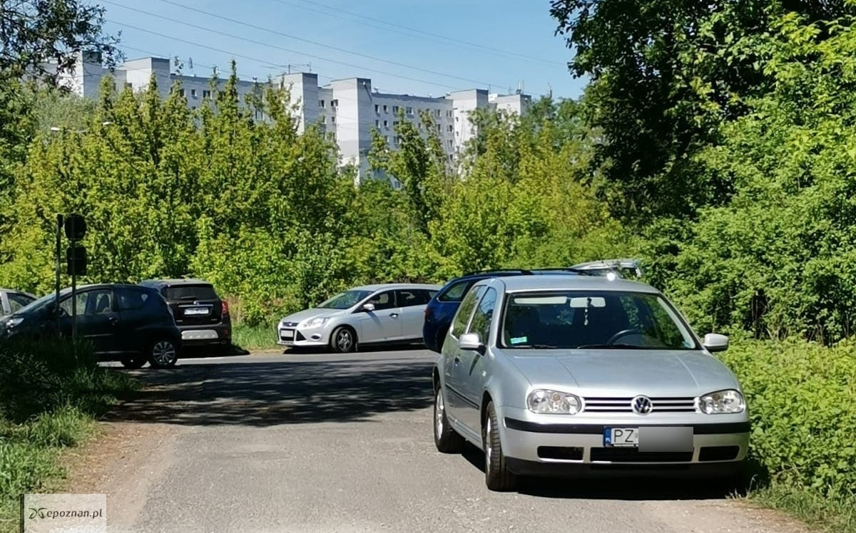 fot. Jagoda