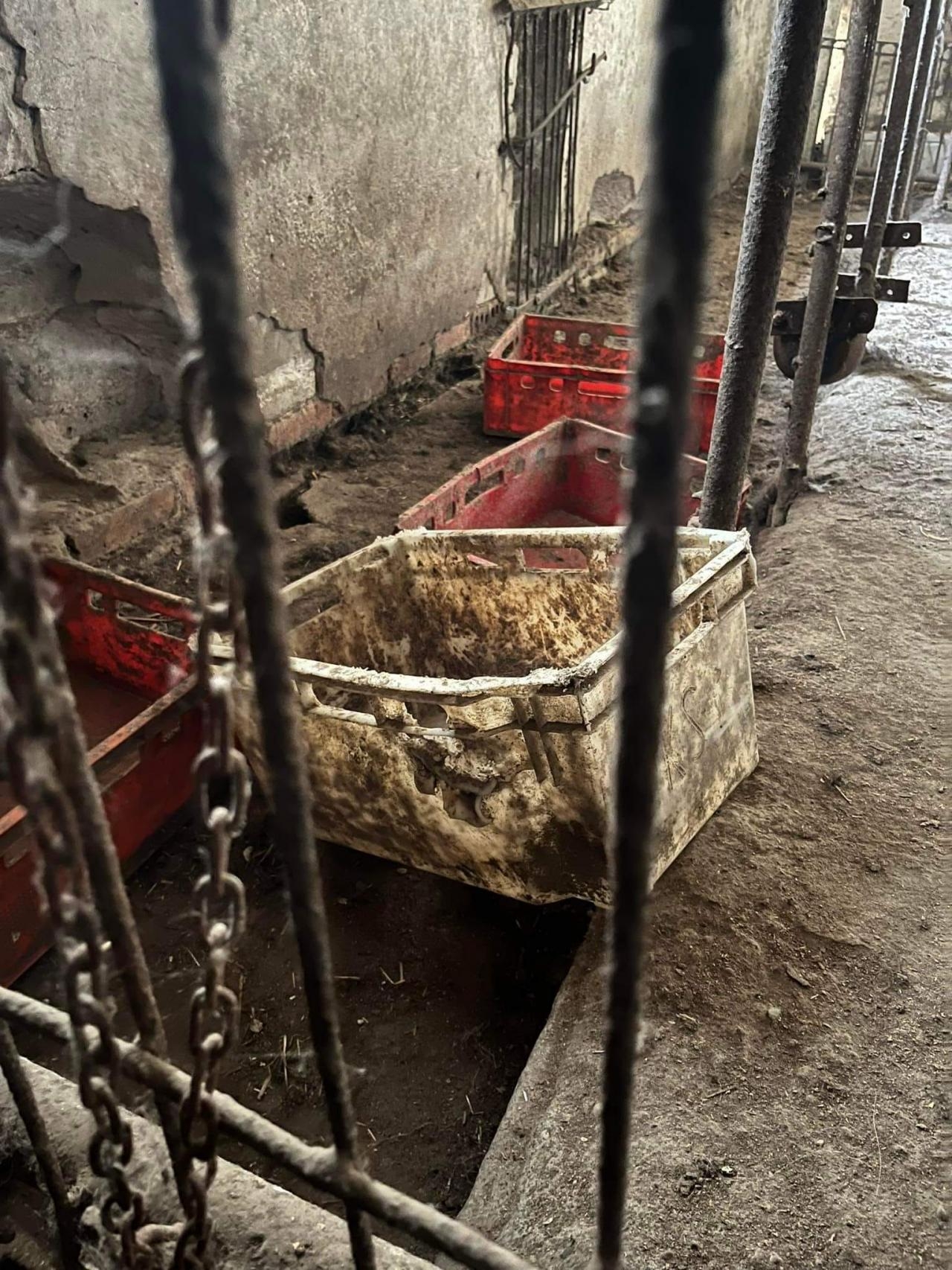 fot. TOZ Środa Wlkp. FB