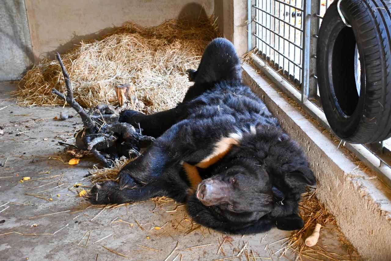 fot. ZOO Poznań Official / Facebook