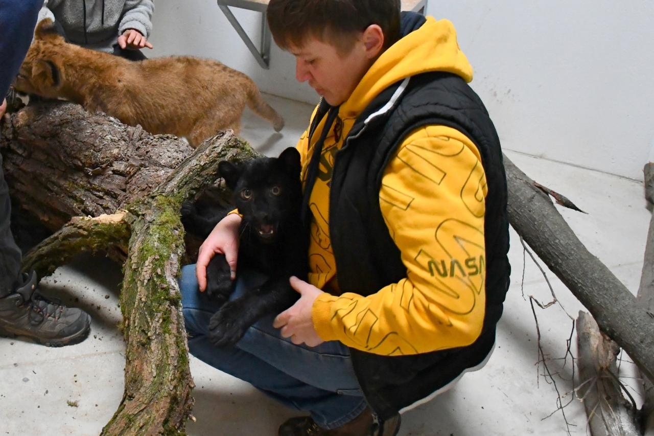 fot. ZOO Poznań Official / Facebook
