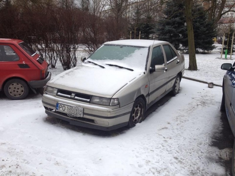 fot. czytelniczka