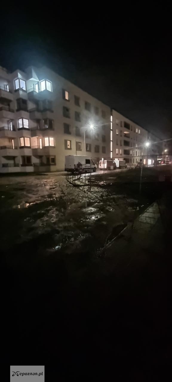 fot. Krzysztof