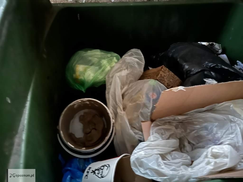 fot. Straż Miejska Miasta Poznania